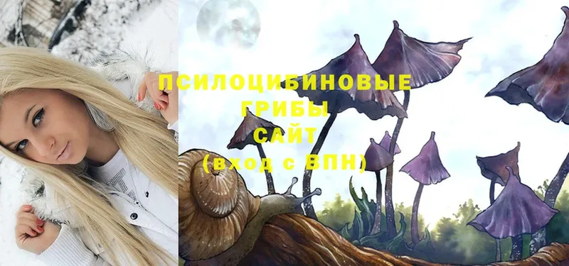 hydra онион  Нововоронеж  Галлюциногенные грибы Magic Shrooms 